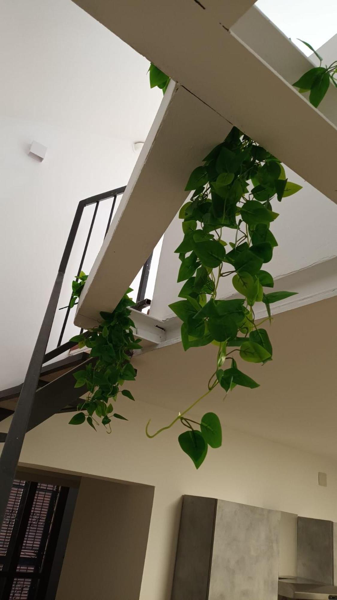 リヴォルノCasa N 1 Con Parcheggio Privato E Colonnina Ricaricaアパートメント エクステリア 写真